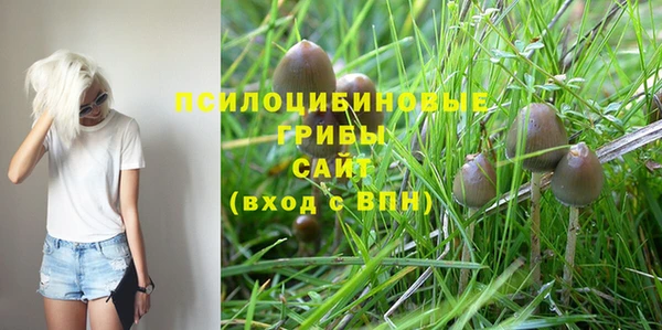 прущие крисы Майский