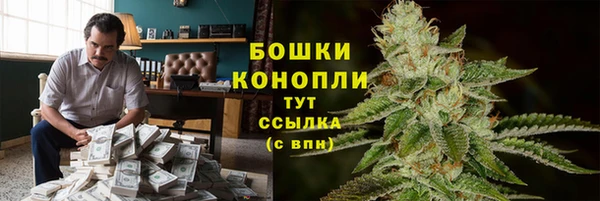 ГАЛЛЮЦИНОГЕННЫЕ ГРИБЫ Лиски